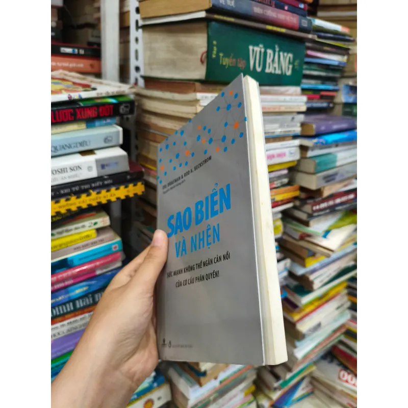 Sao Biển Và Nhện 🌱 698186