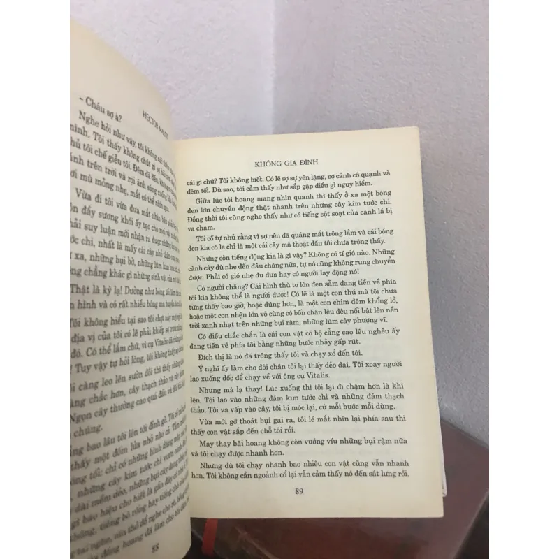 Không gia đình - Hector Malot 1034013
