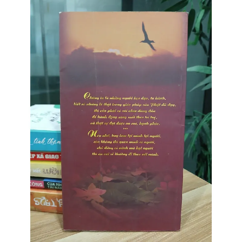 Phương pháp để sống an vui - Thích Thông Phương 576050