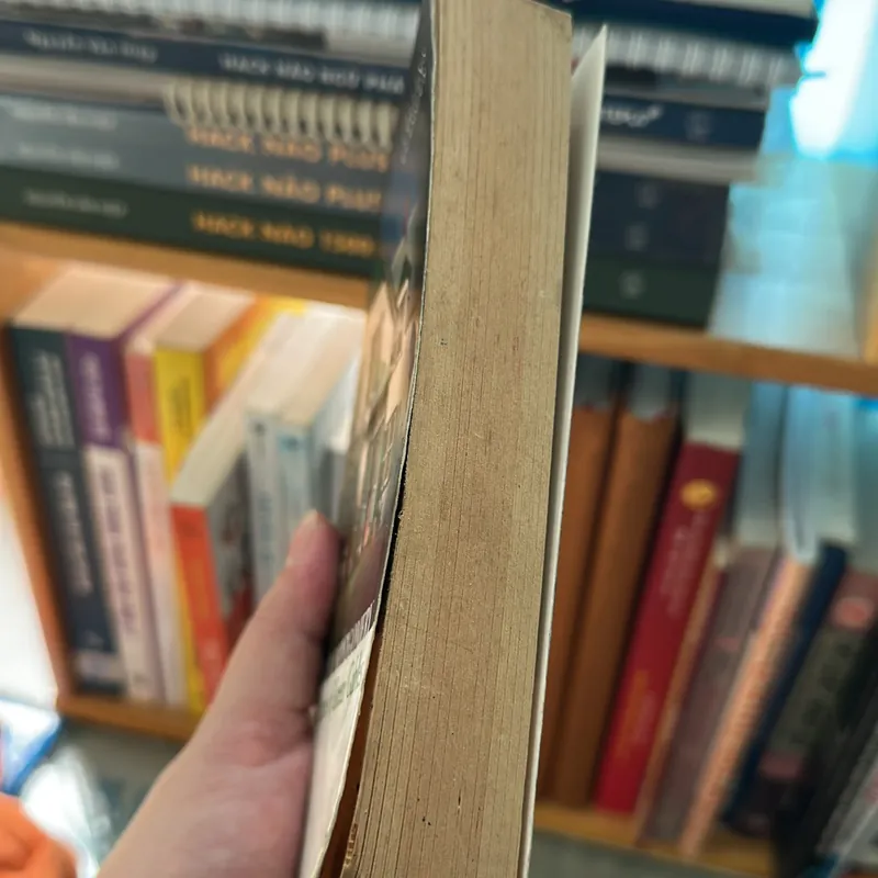 Anne of green gables 602410