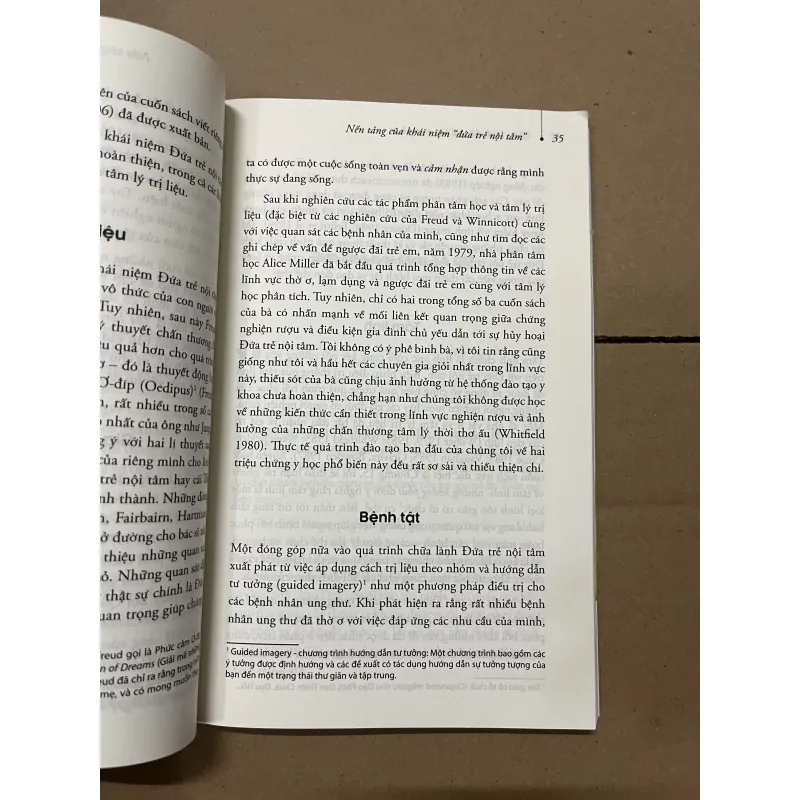 Chữa lành đứa trẻ bên trong bạn 1019632