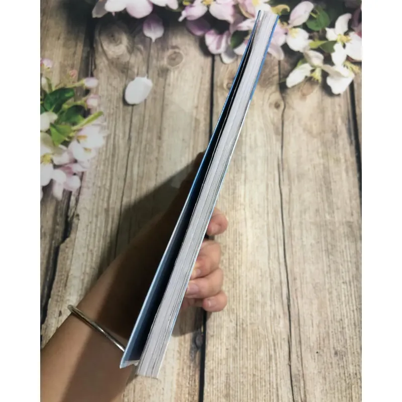 Kỳ Nghỉ Của Nhóc Nicolas (Truyện Phim) 785934