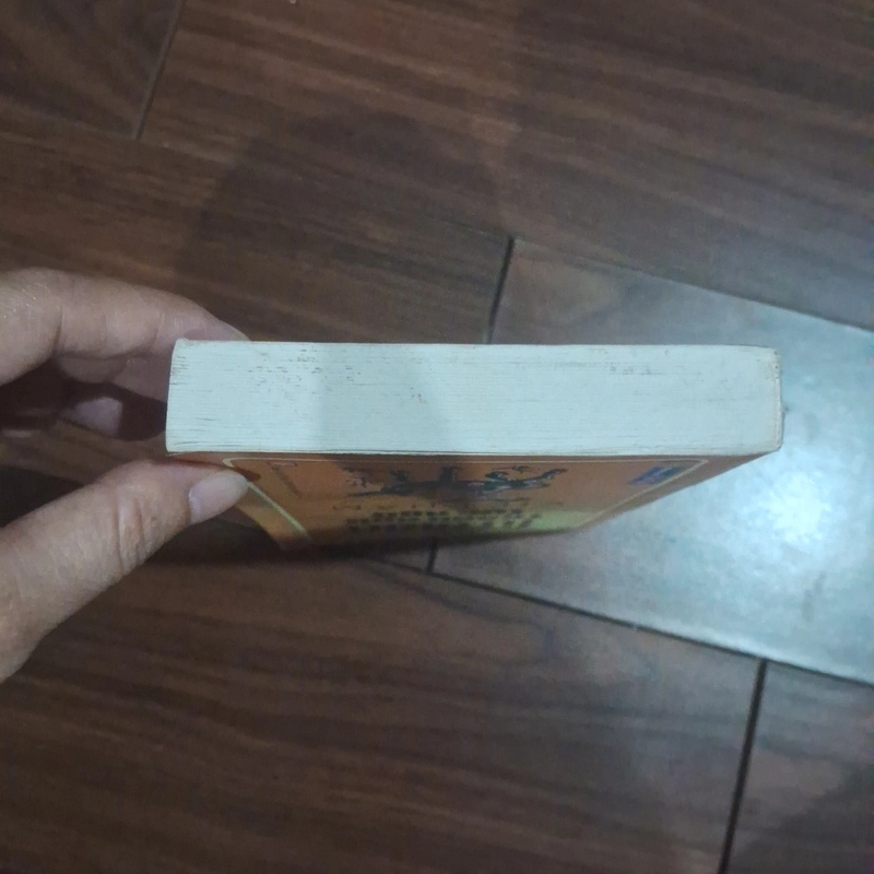Từ điển thành ngữ tục ngữ việt nam 523238