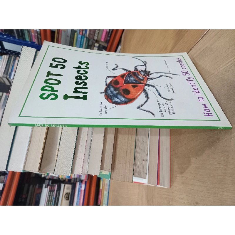 Spot 50 insects: How to identify 50 species 681973