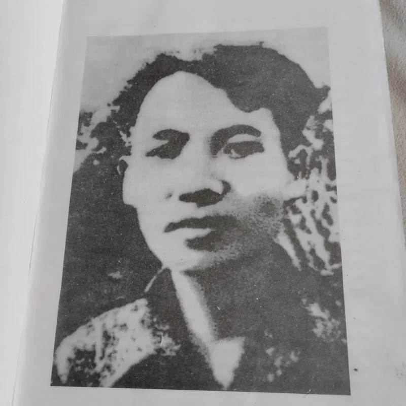 Tuyển tập Nam Cao". Đây là một tuyển tập các tác phẩm của nhà văn hiện thực lớn Nam Cao  761595