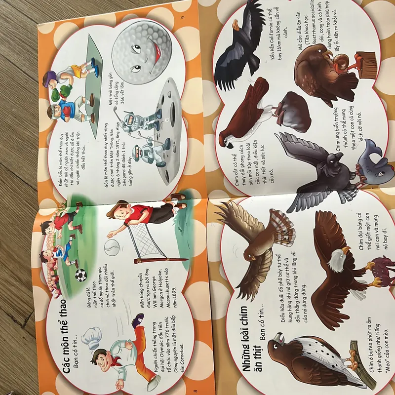 Sách cho bé - Những điều kỳ thú- mới 99% 639687