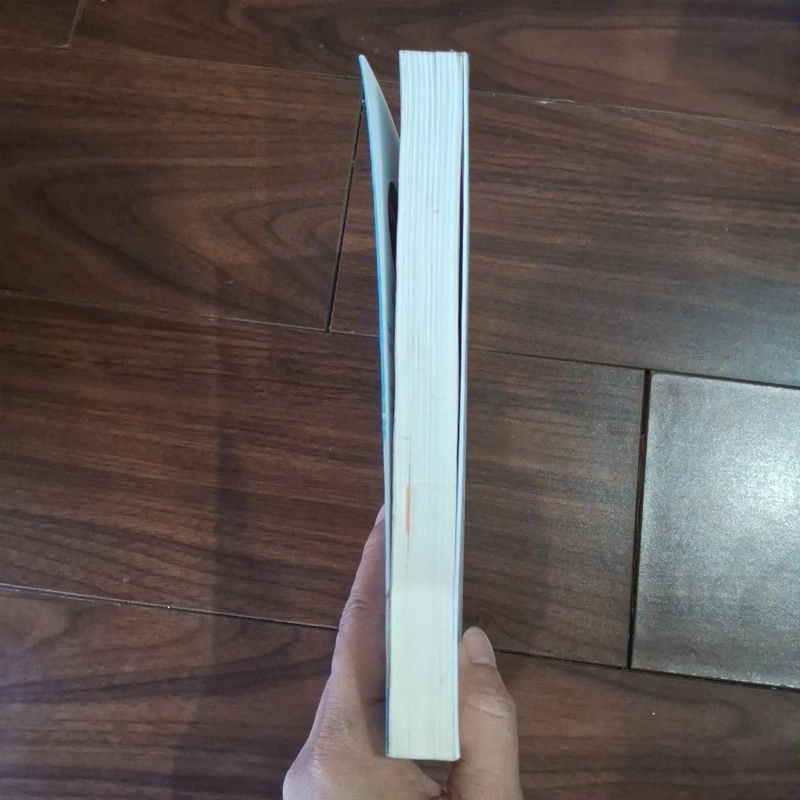 Dám mơ lớn, đừng phí hoài tuổi trẻ 530244