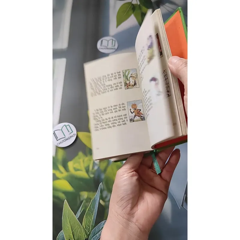 [MIỄN PHÍ BỌC SÁCH] Dế Mèn Phiêu Lưu Ký - Tô Hoài 990054