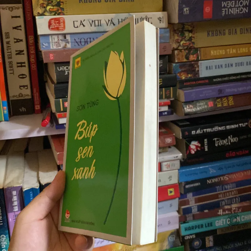 Búp sen xanh - Sơn Tùng   454613