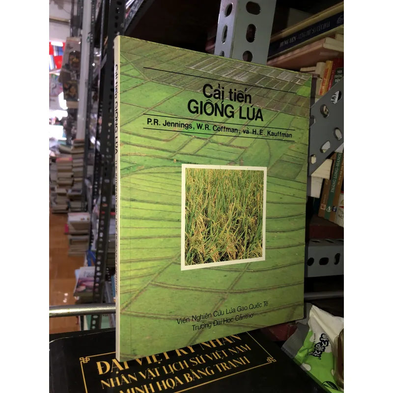 Cải tiến giống lúa  606080