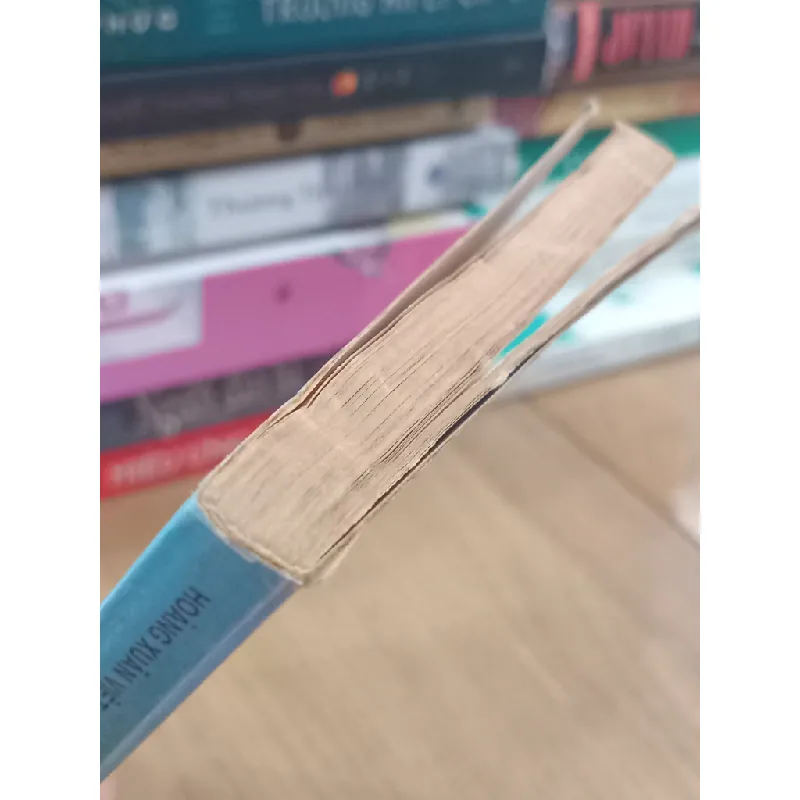 Thanh niên trên đường lập nghiệp - Hoàng Xuân Việt 700633