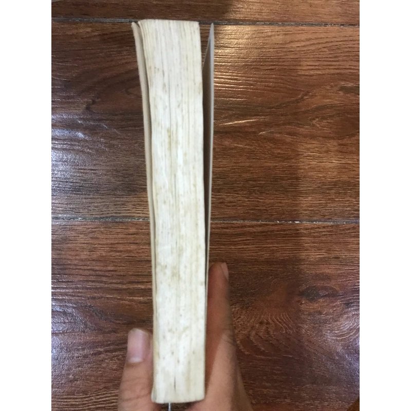 Bí mật triều đại Yamato (k1) 518371