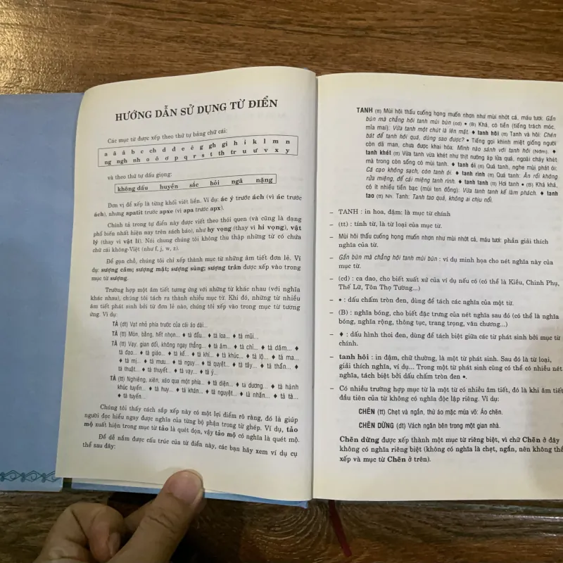 Từ Điển Tiếng Việt - Viện ngôn ngữ (11) 1021294