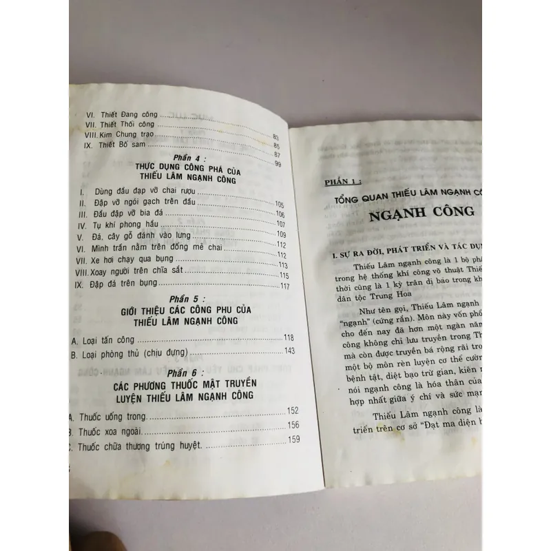 NGHẠNH CÔNG TUYỆT KỸ ( Võ Sư Nguyễn Tường) 697867