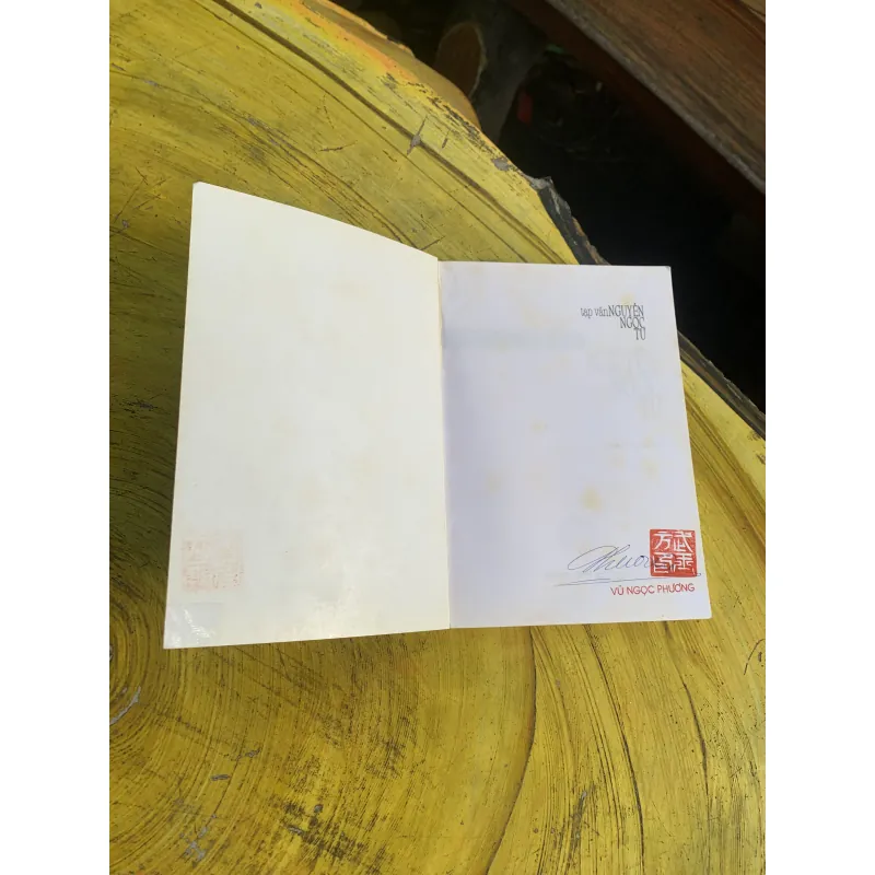 TẠP VĂN NGUYỄN NGỌC TƯ 746192