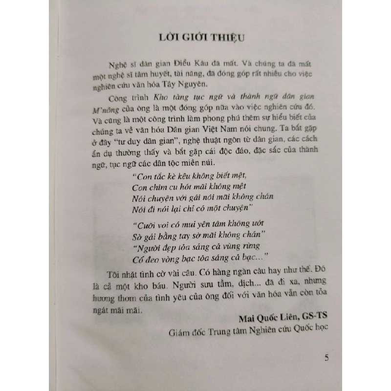 KHO TÀNG TỤC NGỮ THÀNH NGỮ DÂN GIAN M' NÔNG - ĐIỂU  KÂU - 2010 - 294 trang - Bìa cứng ANTQ2308 VĂN HỌC 542588