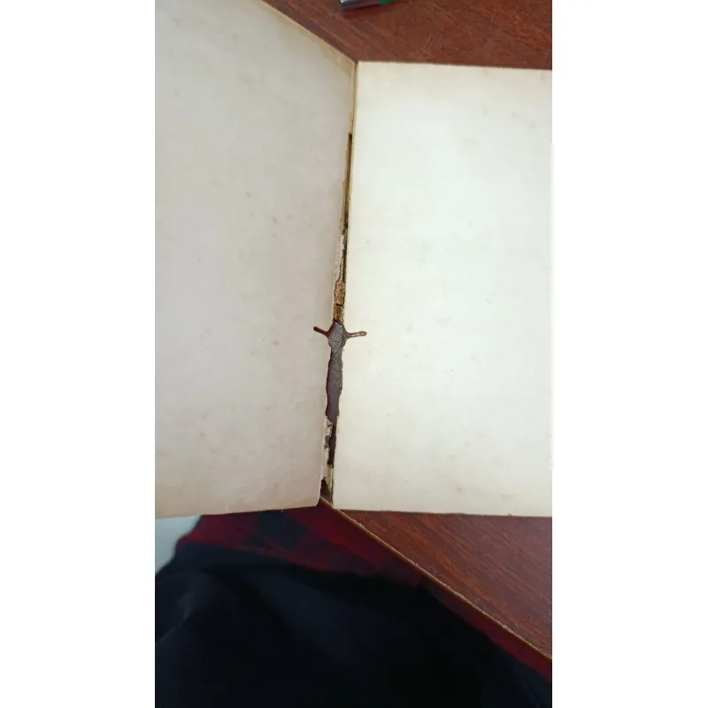 HÀ TIÊN THẬP CẢNH VÀ ĐƯỜNG VÀO HÀ TIÊN 704020