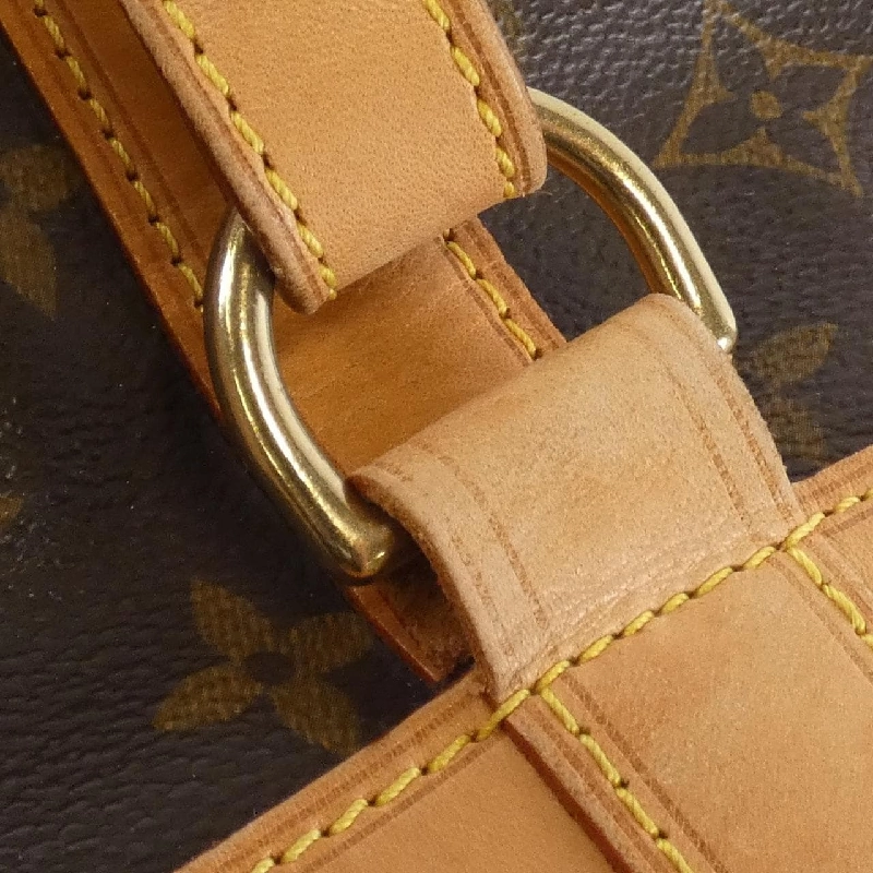Túi xách vai Louis Vuitton Monogram Randonne PM M42243 - Hàng hiệu Chính hãng 767624