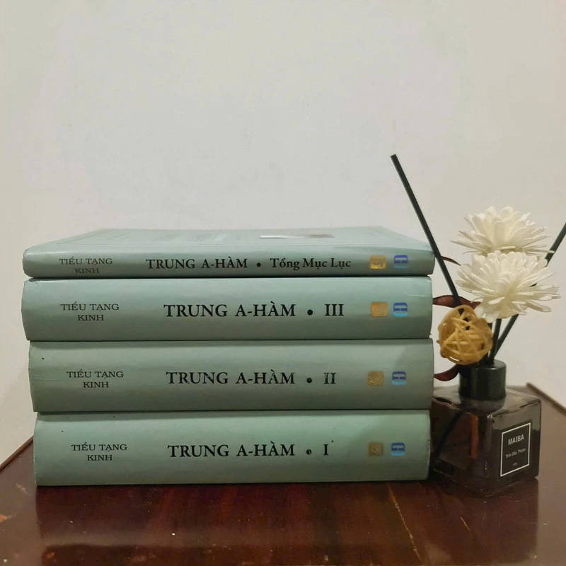 Tiểu Tạng Kinh - Trung A Hàm - Tuệ Sỹ 338580