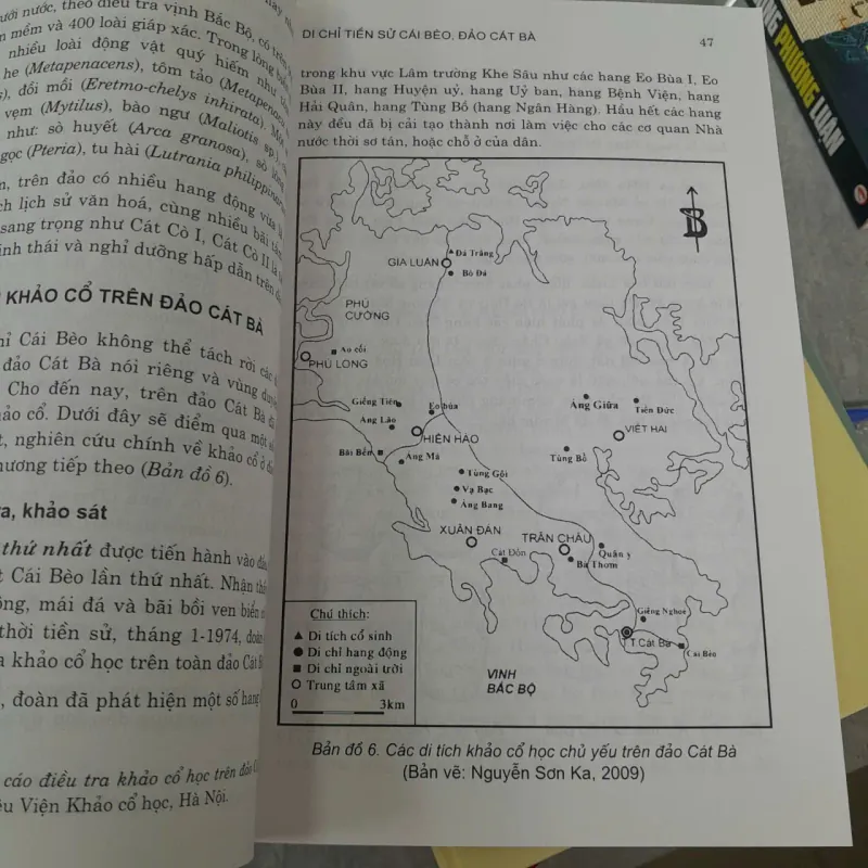 DI CHỈ TIỀN SỬ CÁI BÈO, ĐẢO CÁT BÀ - NGUYỄN KHẮC SỬ 789317