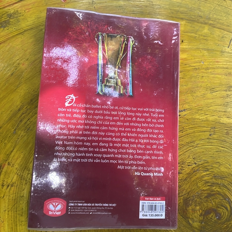 Việt Nam vô địch 463693