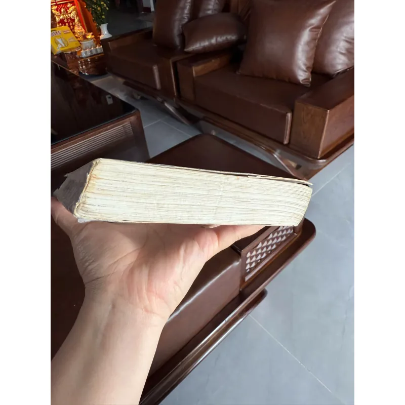 Công Ty Rửa Tiền (The Firm) 972933