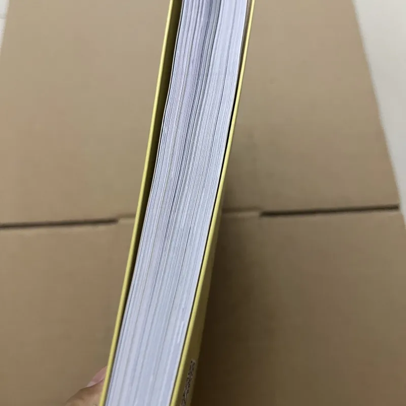 Triết Lý Sống Của Chó Và Mèo 927903