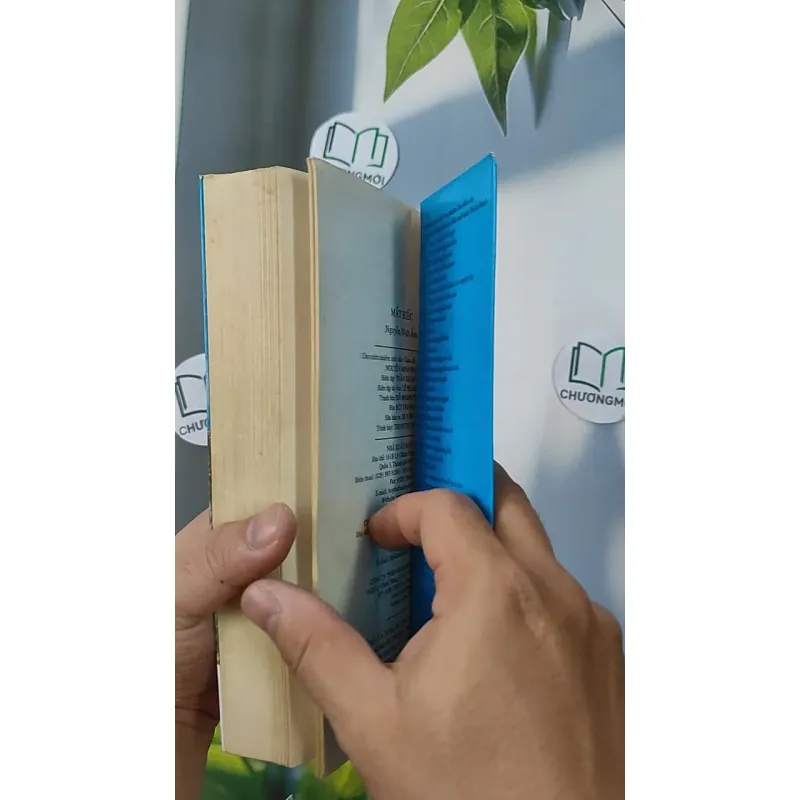 Mắt biếc - Nguyễn Nhật Ánh 798385