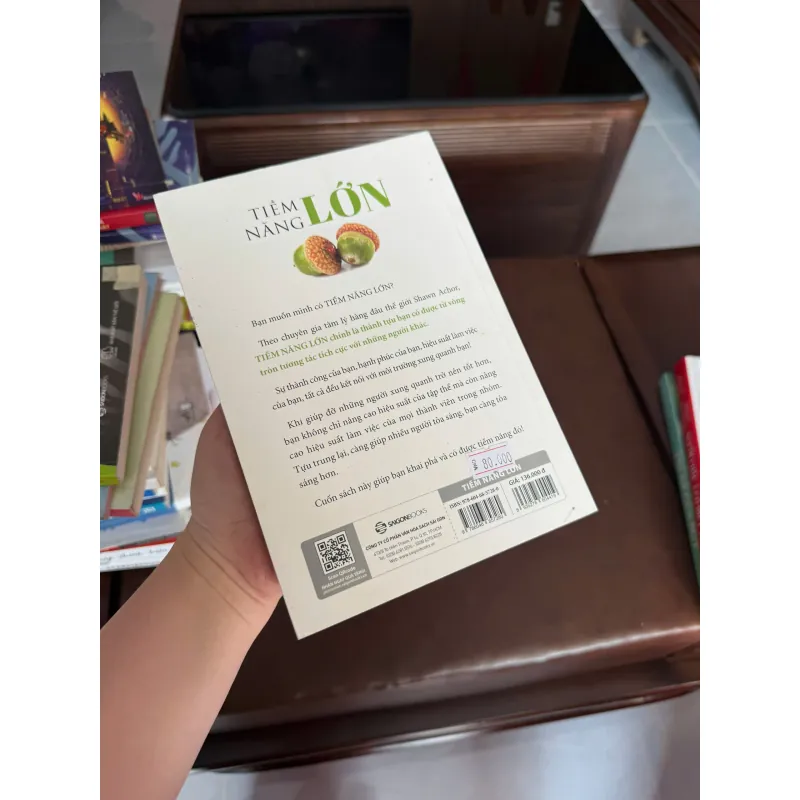 TIỀM NĂNG LỚN – Shawn Achor (Big Potential) - K3 1006577