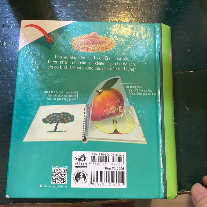 Những khám phá đầu tiên của tớ : Trứng - nhã nam  1027418