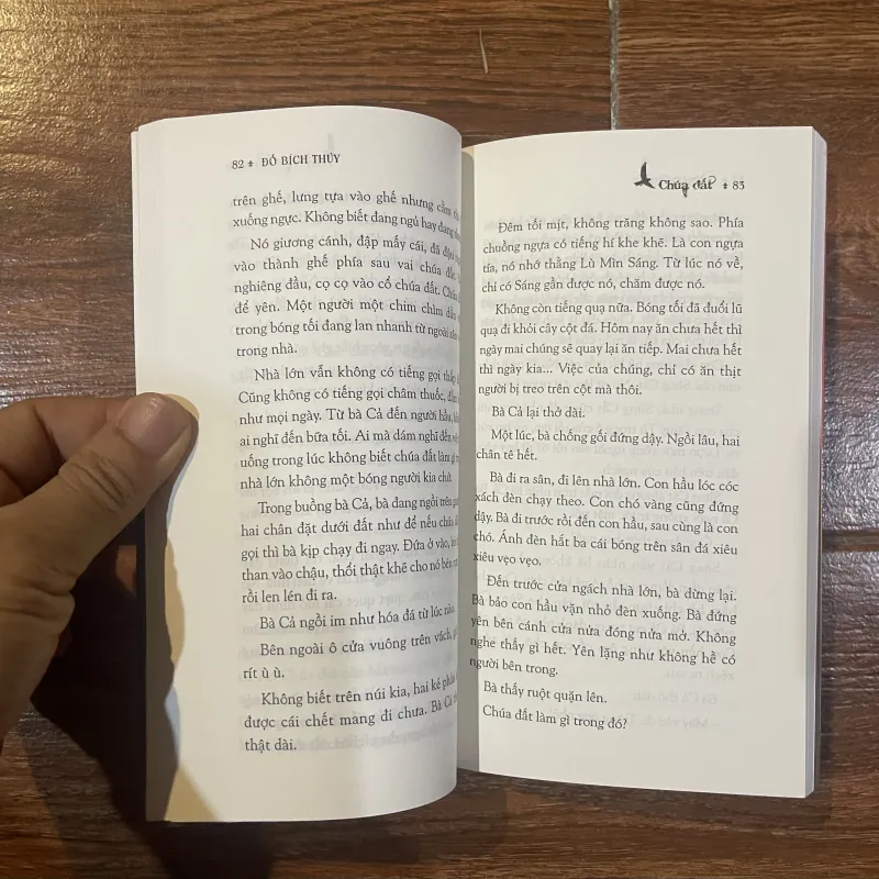 Chúa Đất- Đỗ Bích Thuỷ (c) 1012854