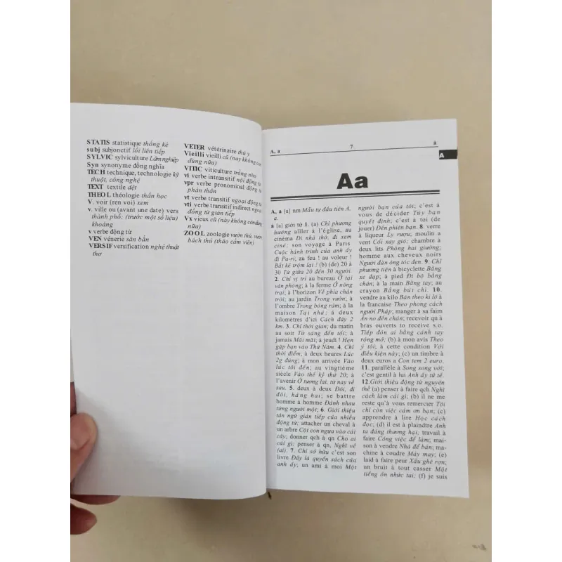 Từ điển Pháp - Việt 689728