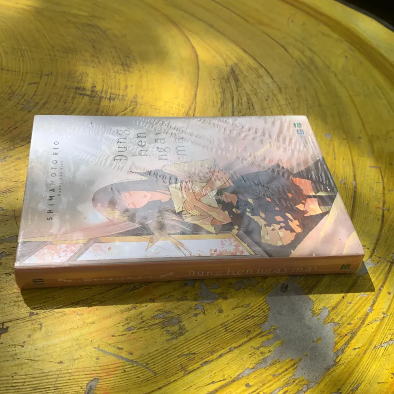 ĐỪNG HẸN NGÀY MAI - SHIMAMOTO RIO 744954