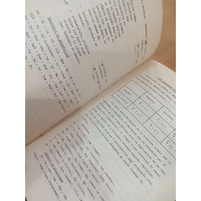 Cours de Vietnamien - Antoine Dauphin 593018