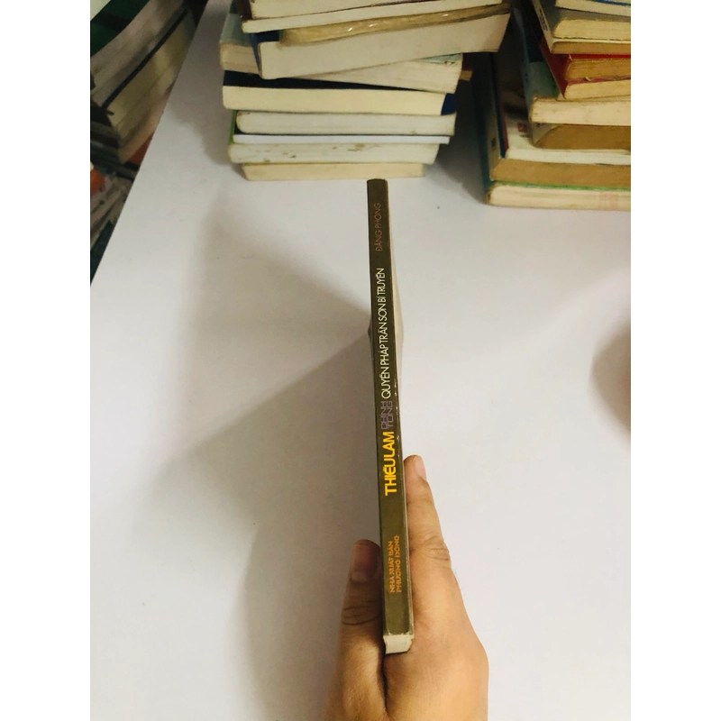 THIẾU LÂM CHÍNH TÔNG QUYỀN PHÁP TRẤN SƠN BÍ TRUYỀN 542307