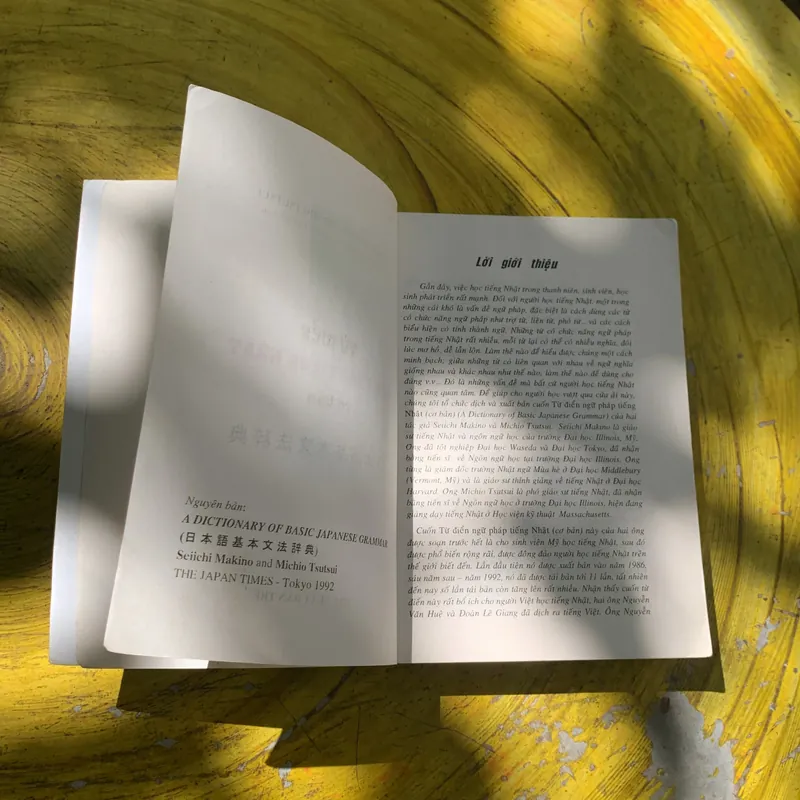 TỪ ĐIỂN NGỮ PHÁP TIẾNG NHẬT CƠ BẢN- SEIICHI MAKINO - MICHIO TSUTSUI 737843