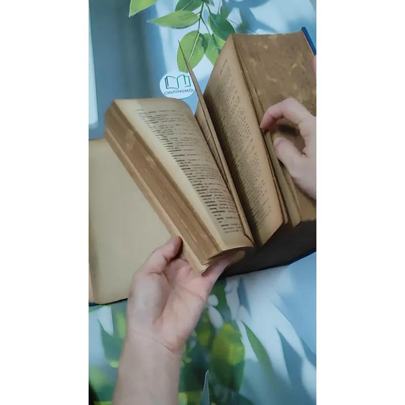 [MIỄN PHÍ BỌC SÁCH] Từ Điển Anh - Việt - Viện Ngôn Ngữ 750747