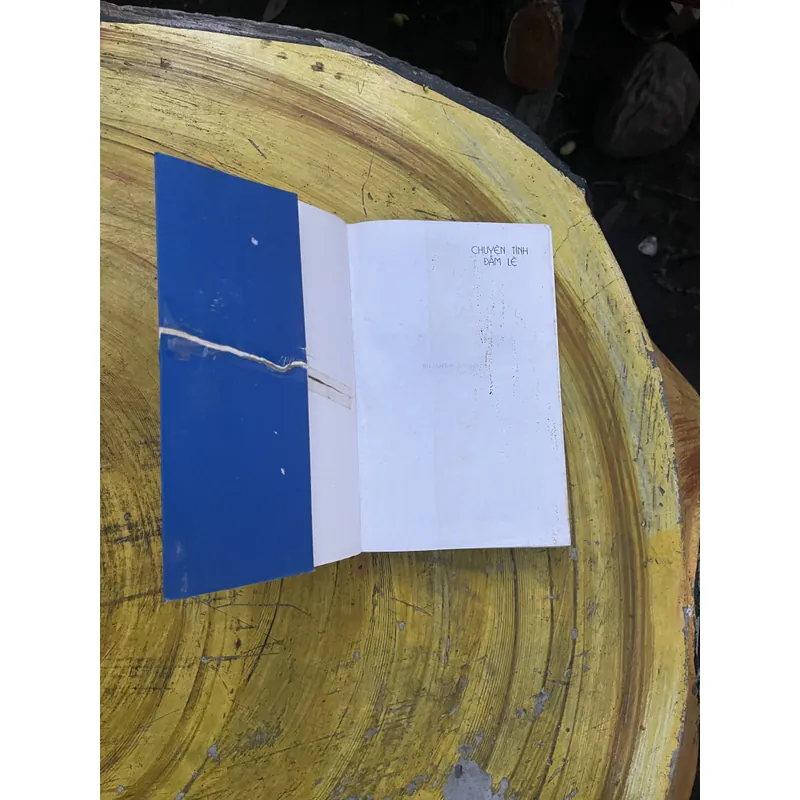 CHUYỆN TÌNH ĐẪM LỆ- AZIT NEXIN 735557