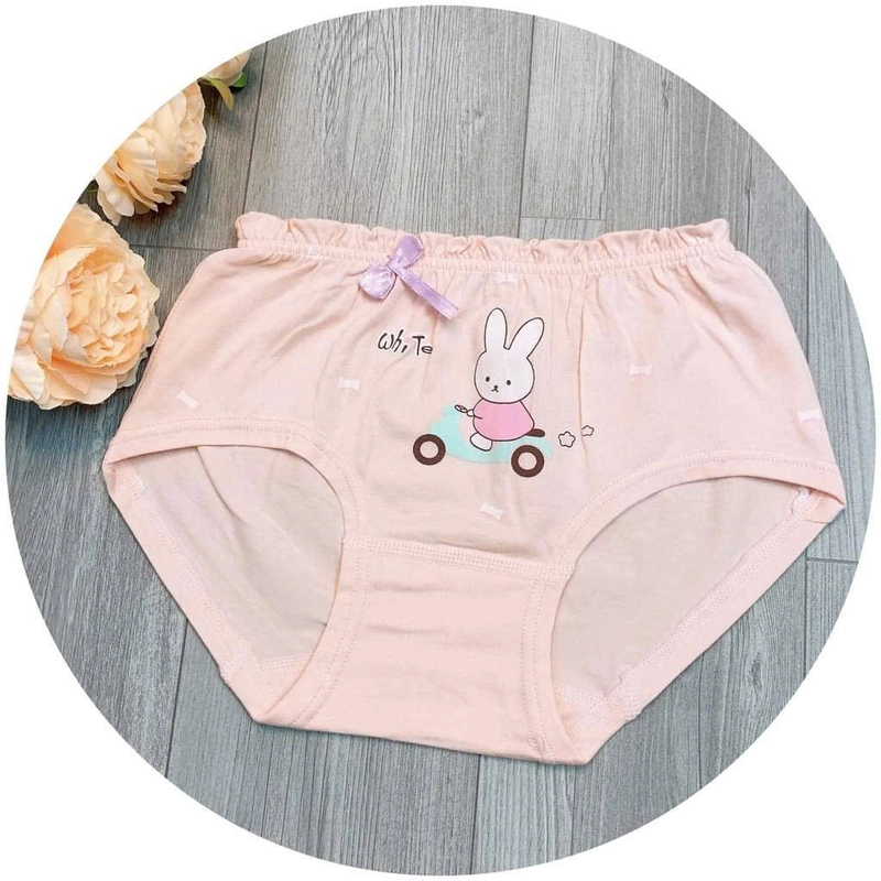 Quần chip bé gái vải cotton họa tiết thỏ dễ thương size 15 - 35kg 466370