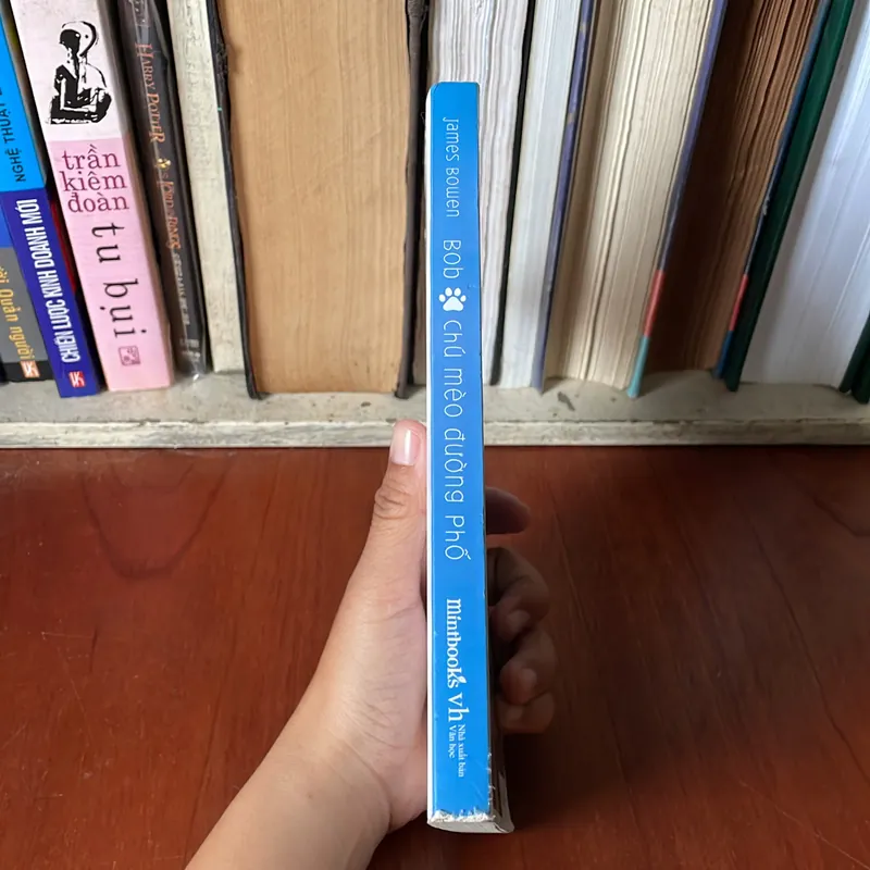 II Tự Truyện: Bob, Chú Mèo Đường Phố - JAMES BOWEN - 2017 569287