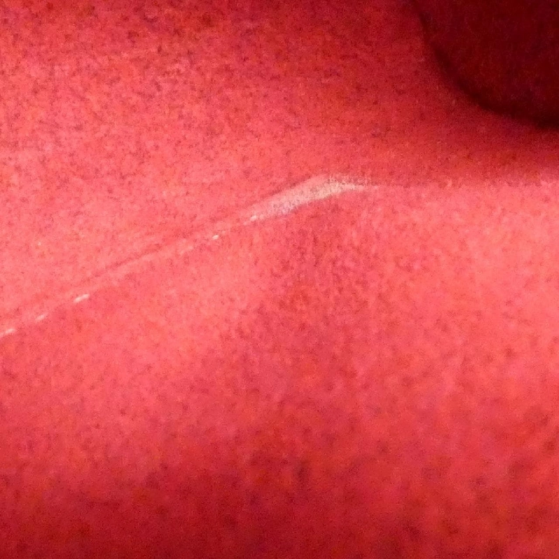 Túi xách Louis Vuitton Monogram Sonatine M51902 - Hàng hiệu Chính hãng 766209