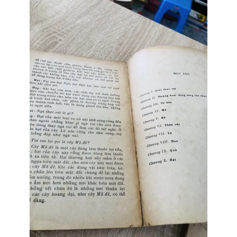HỎI ĐÁP VỀ THỰC VẬT – trọn bộ 5 tập 🌿 956957
