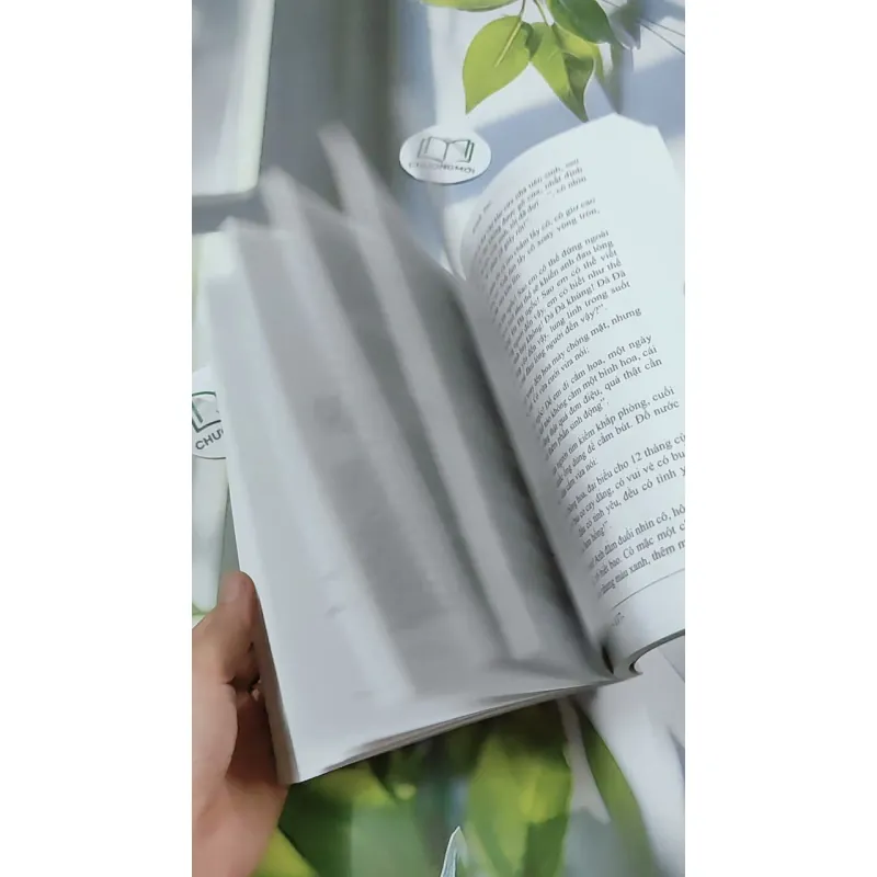 Vội Vã, Quá Vội Vã - Quỳnh Dao 744717