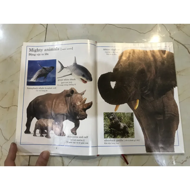 Từ điển động vật bằng hình  748516