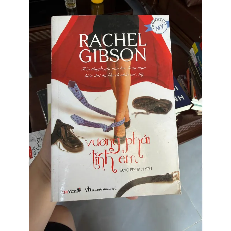 Vướng Phải Tình Em – Rachel Gibson (Tangled Up In You)- K2 994368