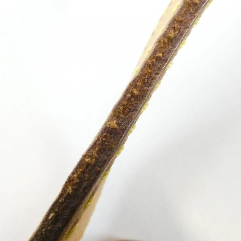 Túi xách vai Louis Vuitton Monogram Croissant MM M51512 - Hàng hiệu Chính hãng 802239