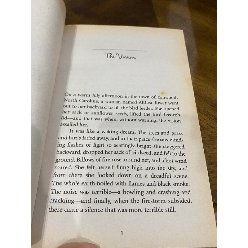 The Prophet of Yonwood - Jeanne Duprau 505461