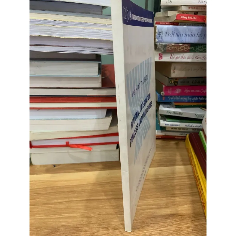 REGIONAL INTEGRATION PROCESS AND CHALLENGES 718319