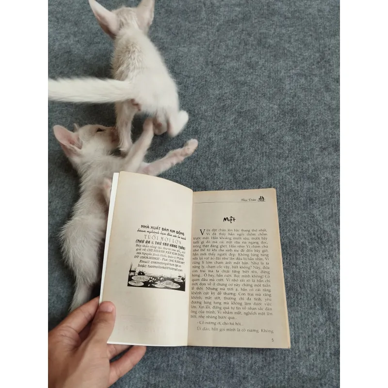 DƯỜNG NHƯ TA KHÔNG CÒN BÉ NỮA - THU TRÂN 567798