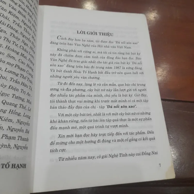 Hoài Tố Hạnh - ĐÁ NỔI XÔN XAO 754353